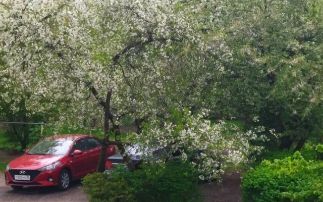 Апартаменты Розовый Фламинго