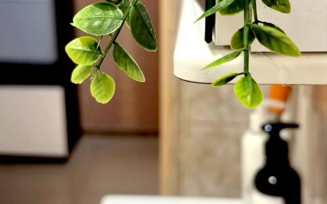Na Vinogradnoy Flat
