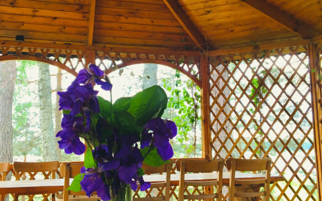 Dom Na Volge Private house
