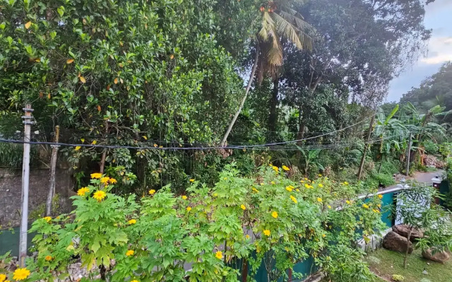 Seagulls Garden Hikkaduwa Villa