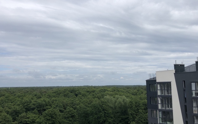 Апартаменты Квартира у моря с видом на Куршскую косу