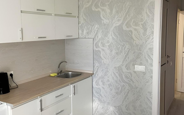 Квартира на Проспекте Дружбы Народов 17