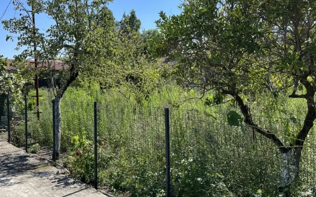 Частный дом Aliasna