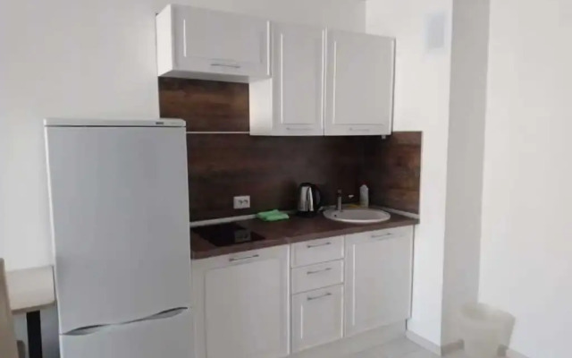 Apartment Koltsovo Rocketnaya 20