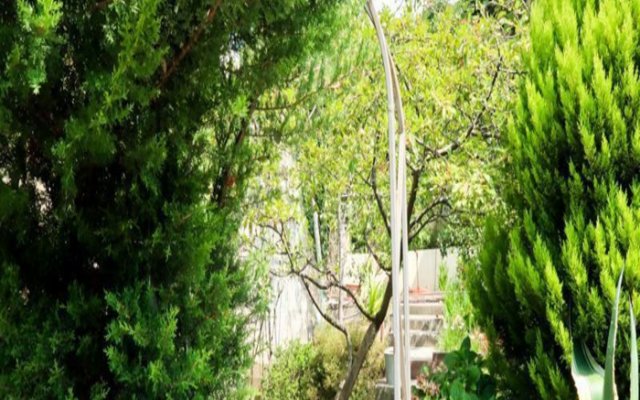 Gostevoy Dom na Tsitrusovoy