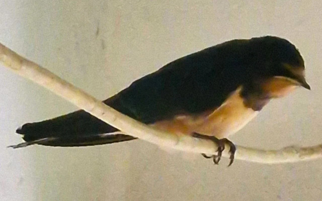 Квартира Двухкомнатная у Моря