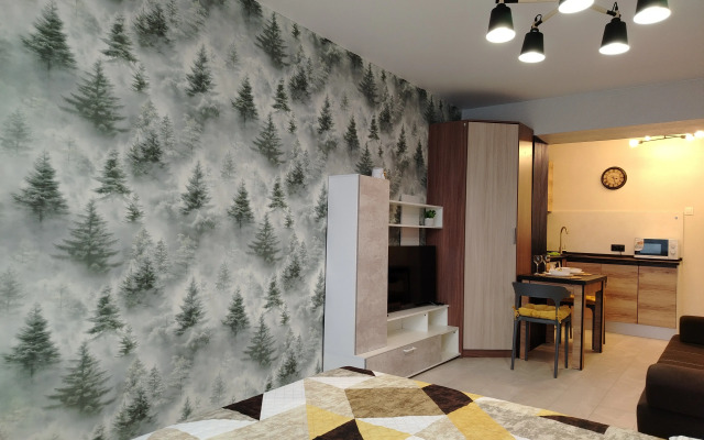 Квартира с Балконом в Деловом Центре Города