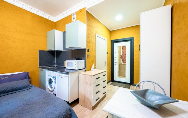 U Starokalinkinskogo mosta Apartments