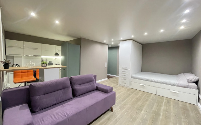 Квартира студия Полярные Зори 21к3