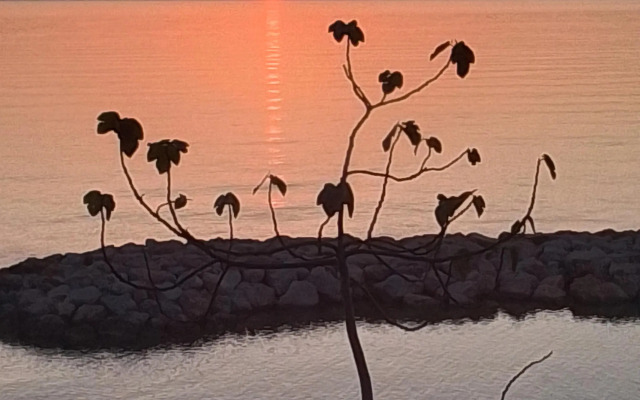 Частный дом Gerze Beyaz Yalı Tatil Evi