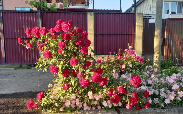 Гостевой дом Морская ласточка