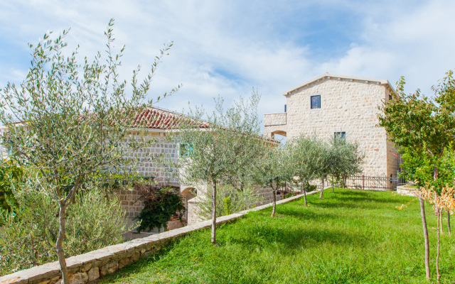 Olive Resort	
