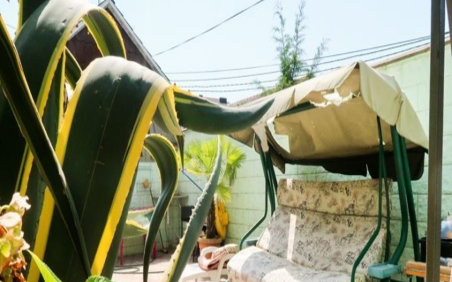 Gostevoy Dom na Tsitrusovoy