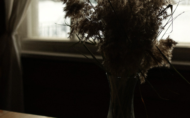 Гостевой дом с птицами в Кириллове