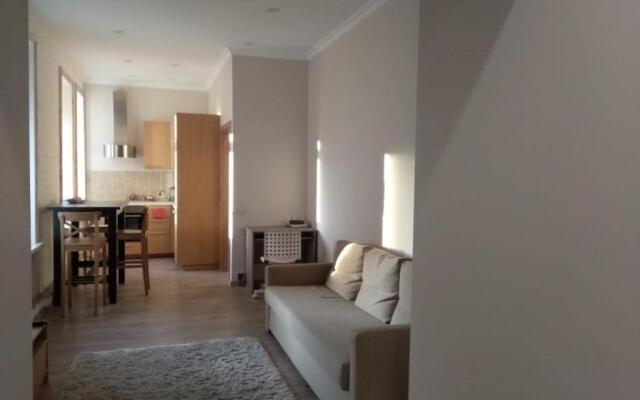 Дизайнерская Двухкомнатная квартира  Малая Морская 19 Скандинавия