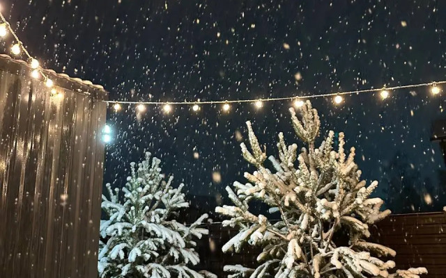 Частный дом Skandi Life