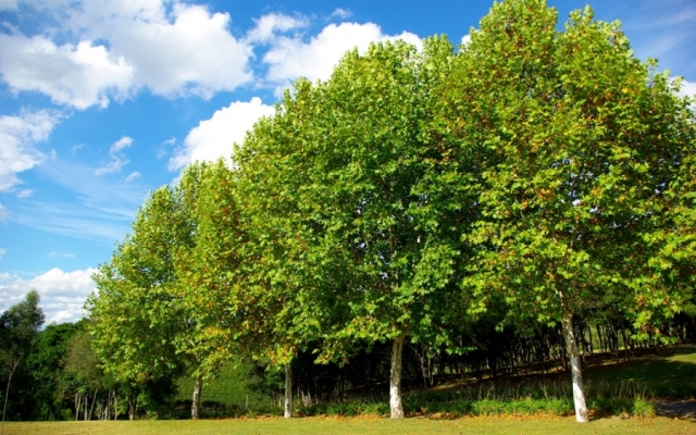 Домашняя гостиница Качканар