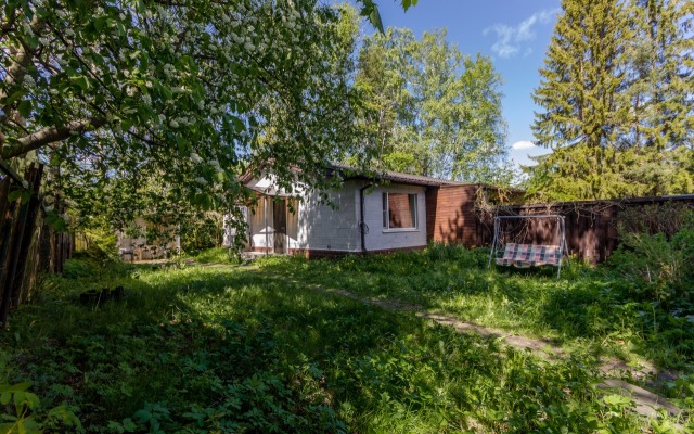 Martyshkino Apartments