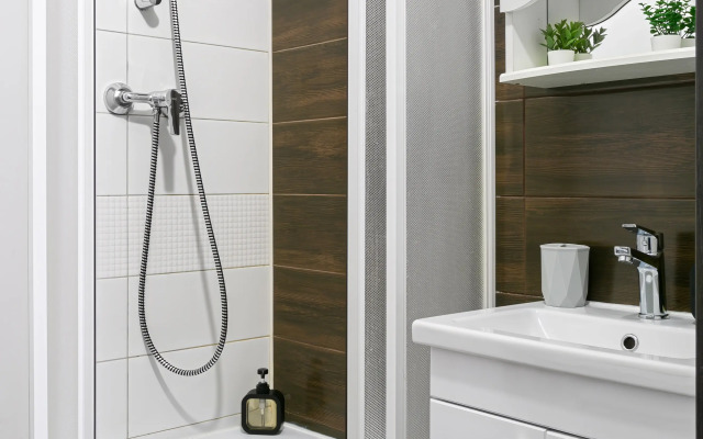 Studiya Na Lomonosovskoy Flat