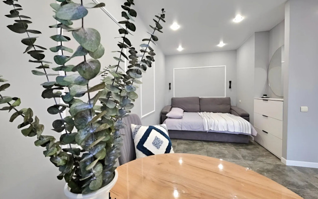 Studiya S Dizaynerskim Remontom Flat