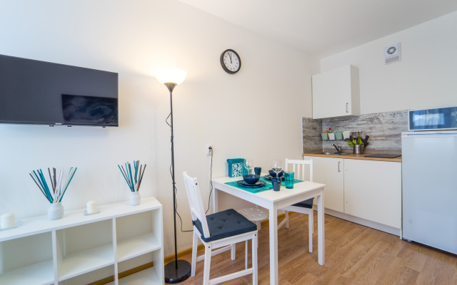 Апартаменты в поселке Песочный у центра им. Петрова