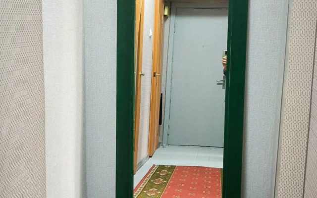 Квартира Атмосферная в Центре (Нижний пруд)