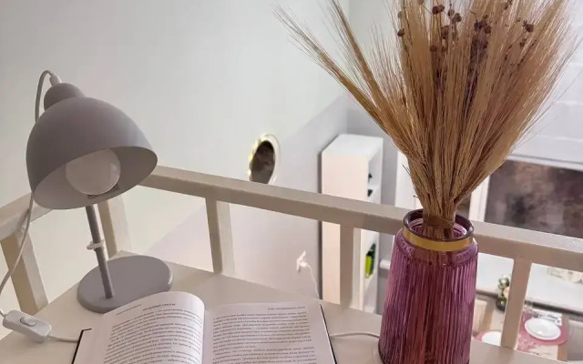 Апартаменты Двухуровневые Purple у Метро Бауманская