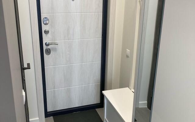 Nizhniy Novgorod Tsentr ot Uyut i Komfort Nn Apartments