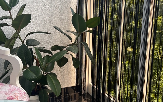 Квартира Студия-Раушен