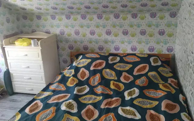 Uyutny Dom Guest house