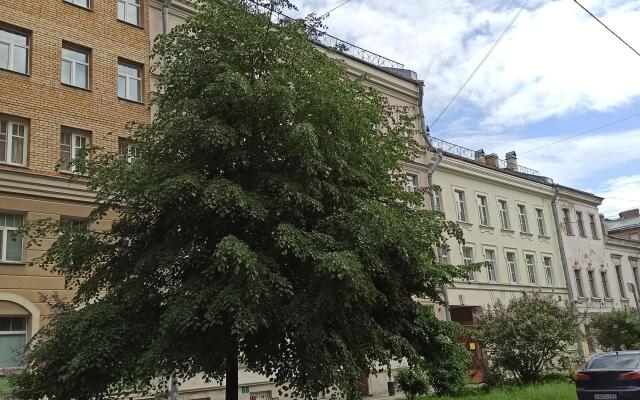 Uyutnaya Mansarda V Tsentre Apartments