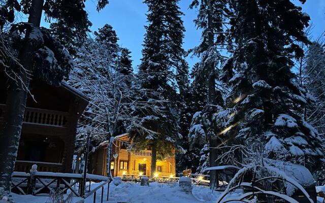 Lesogorye Guest House