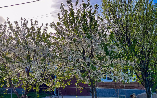 S Otdelnyim Vhodom I Parkovkoj Apartments