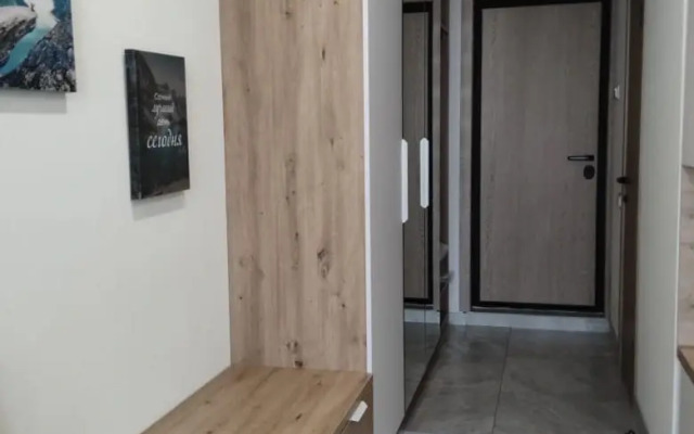 Апартаменты на Набережной Толстого, 41, номер 1