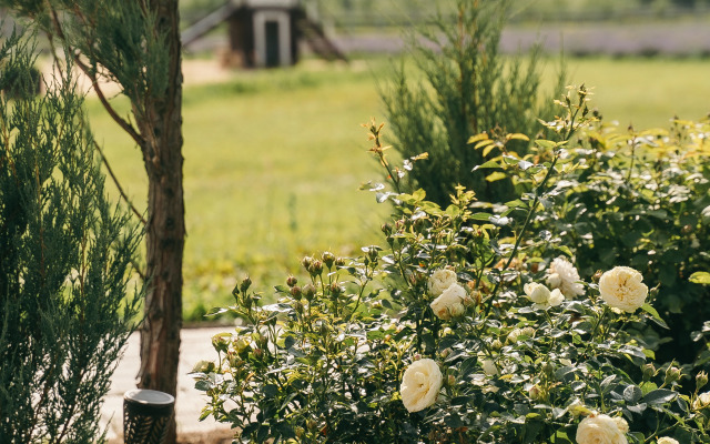 Шале Ромашки