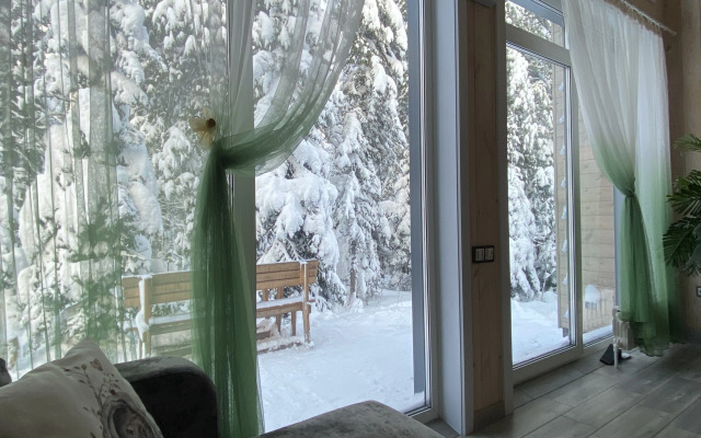 Частный дом уютный барн Green House