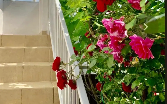 Garmoniya Guest house