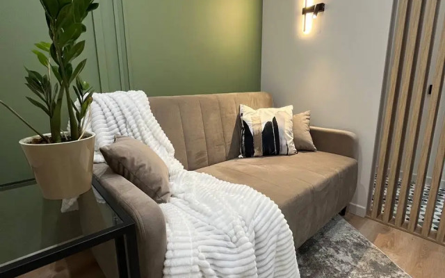 Dizaynerskie El Apart V Samom Tsentre Rostova Apartments