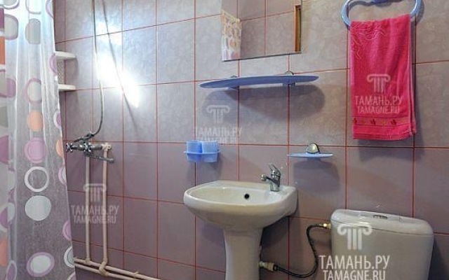 Guest house Semeyny