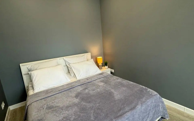 Sibir House Luxe naprotiv Moskovskoy ploshadi Apartments