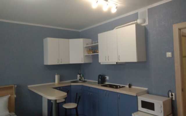 V Tsentre U Reki Apartments