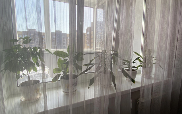 Квартира Уютная дизайнерская