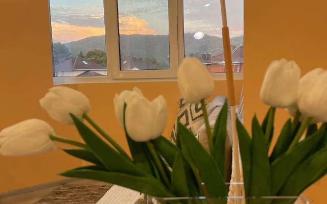 Raduga Apartment
