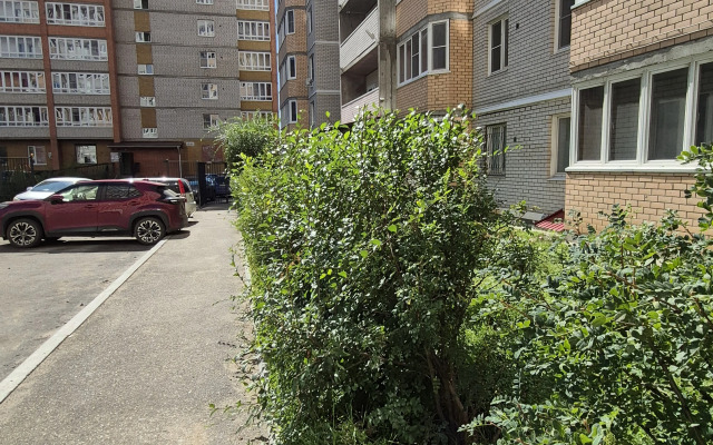 Квартира Баунти