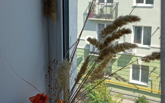 Uyutnoe Gnezdishko Apartments