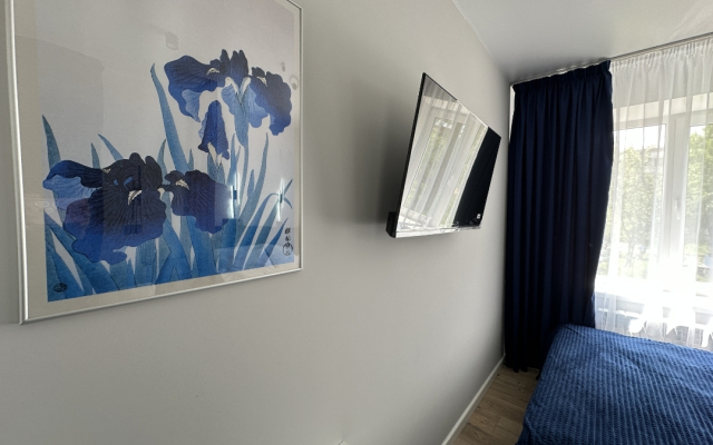 Siniye Tsvety Apartments