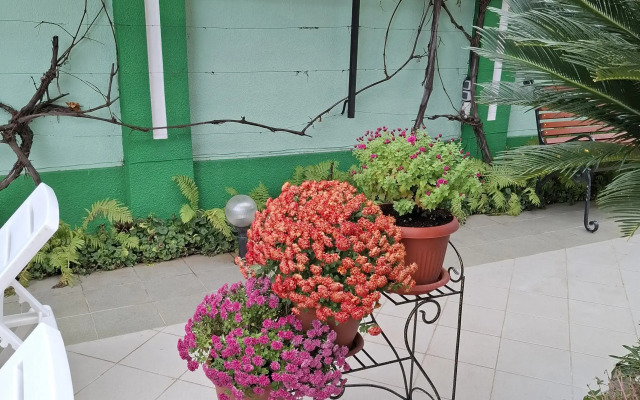 Veronika Guest house