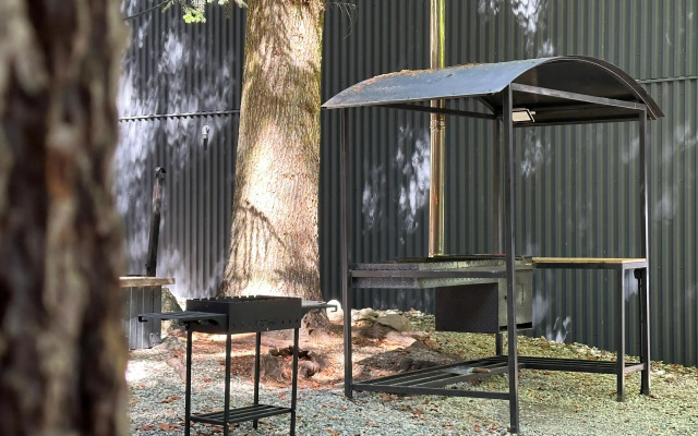 База отдыха Vitaura Витаура