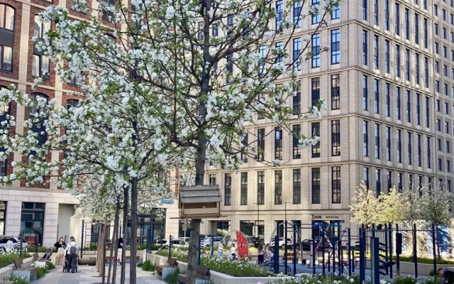 Апартаменты Comfort & Relax Home in Silver fountain 1