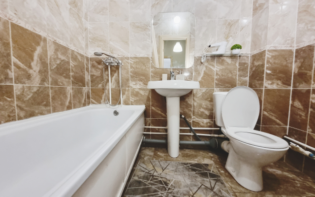 Zaselyajsya Flat